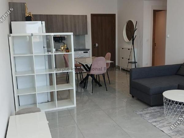2 bedroom apartment for rent agios spyridonas limassol 8705177 image 16245278