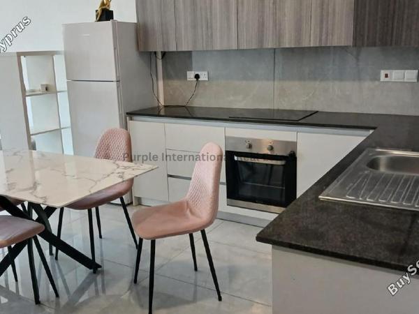 2 bedroom apartment for rent agios spyridonas limassol 8705177 image 16245281