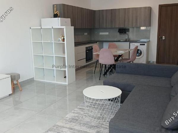 2 bedroom apartment for rent agios spyridonas limassol 8705177 image 16245282