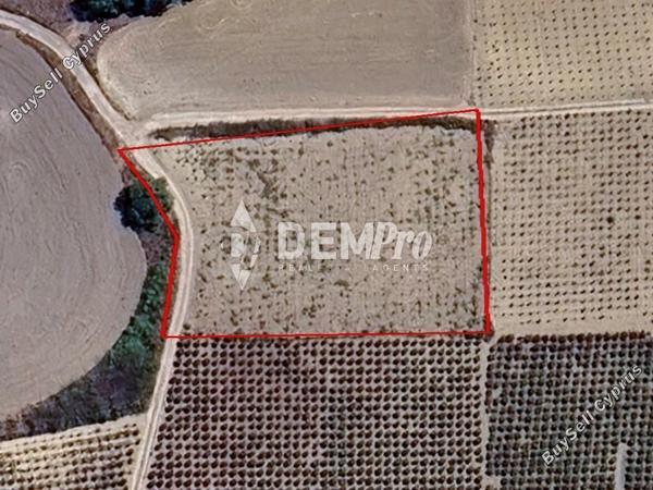 land for sale polemi paphos 7812177 image 12688127