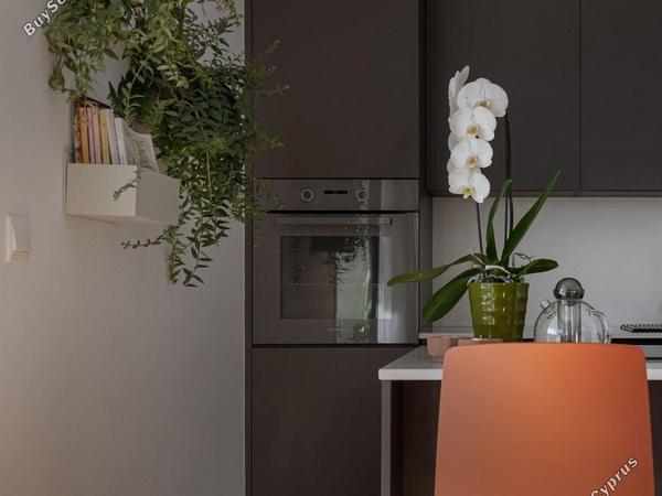 2 bedroom apartment for sale dasoupoli nicosia 8225277 image 13771532