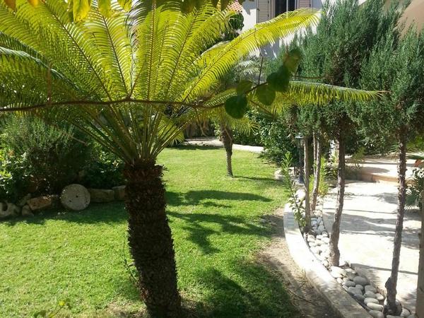 3 bedroom detached house for sale larnaca municipality larnaca 7906277 image 16635282