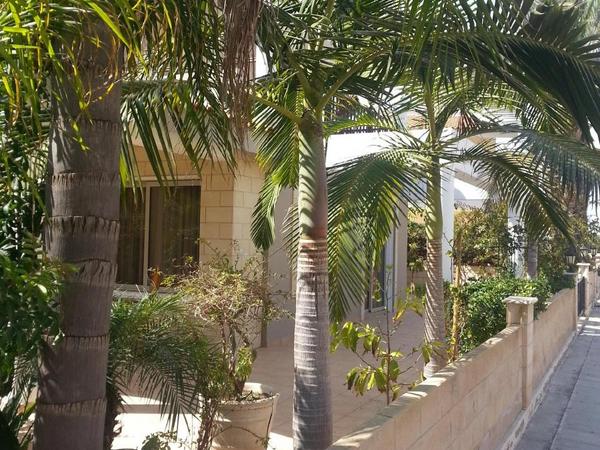 3 bedroom detached house for sale larnaca municipality larnaca 7906277 image 16658641