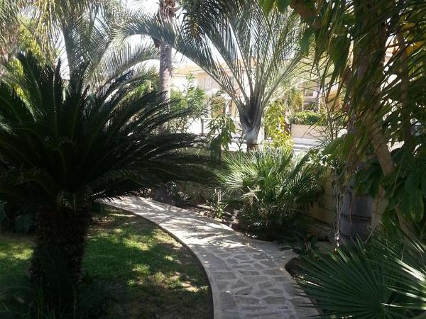 3 bedroom detached house for sale larnaca municipality larnaca 7906277 image 16658645