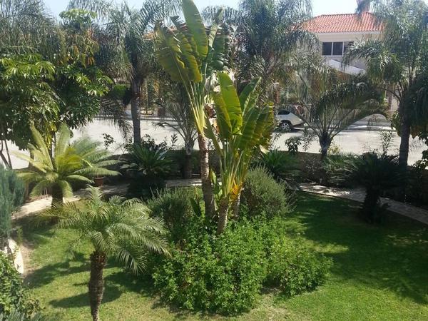 3 bedroom detached house for sale larnaca municipality larnaca 7906277 image 16658649