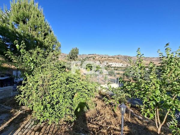 4 bedroom detached house for rent choletria paphos 1566277 image 16578678