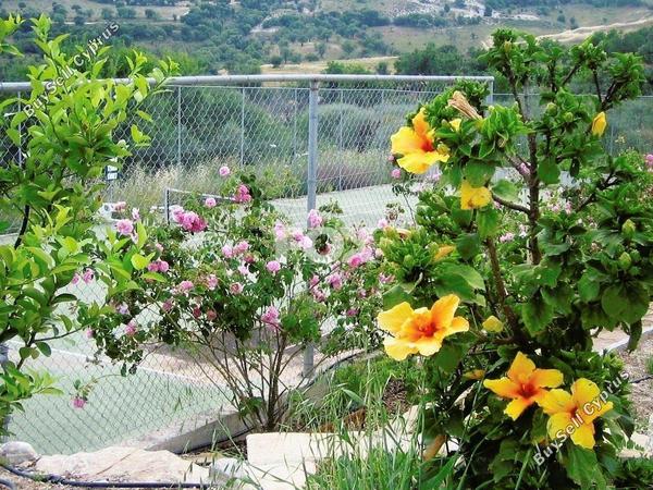 4 bedroom detached house for rent choletria paphos 1566277 image 16578688