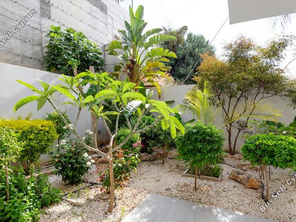 4 bedroom detached house for rent palodeia limassol 8857277 image 17216360