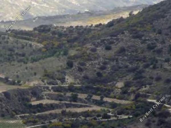 land for sale dora limassol 1336277 image 15598706