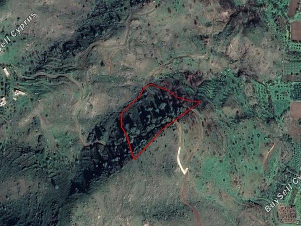 land for sale pigenia nicosia 839277 image 2827409