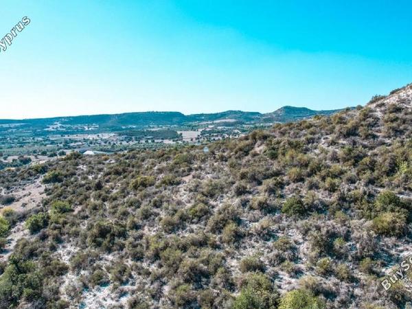 land for sale skarinou larnaca 1230277 image 5627351