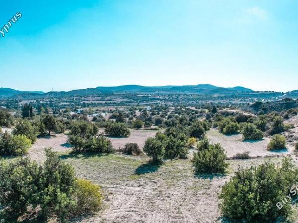 land for sale skarinou larnaca 1230277 image 5627358