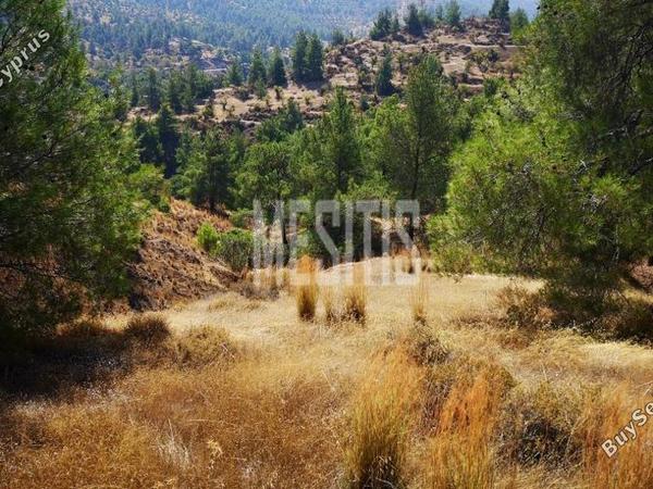 plot for sale agios theodoros soleas nicosia 975277 image 11041978