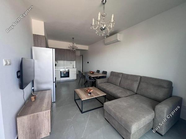 1 bedroom apartment for rent oroklini larnaca 8798377 image 16715138