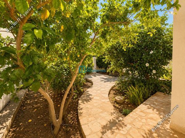 4 bedroom detached house for rent meneou larnaca 8693377 image 17241505