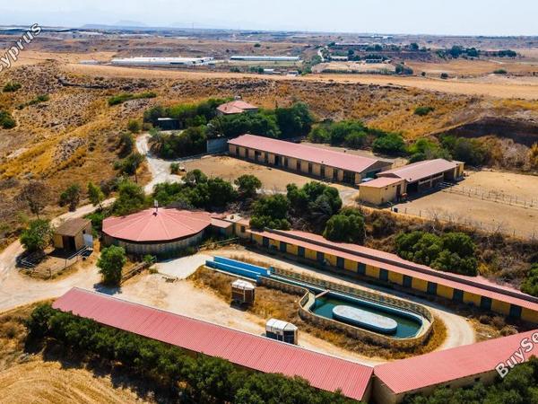 land for sale deftera nicosia 966377 image 15868845