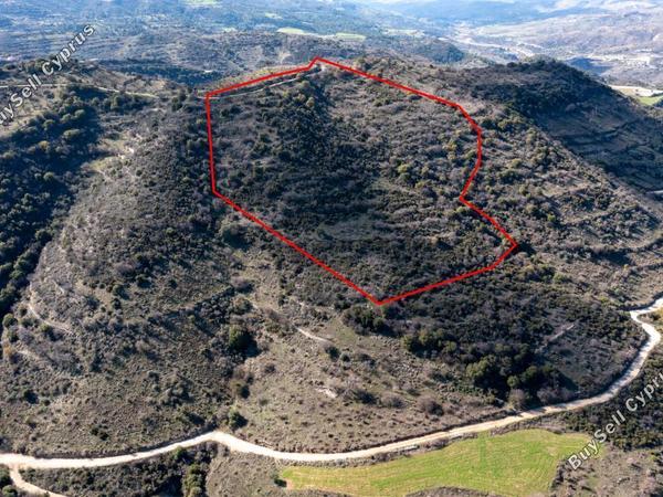 land for sale dora limassol 839377 image 5481073