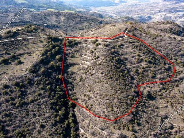 land for sale dora limassol 839377 image 5481076