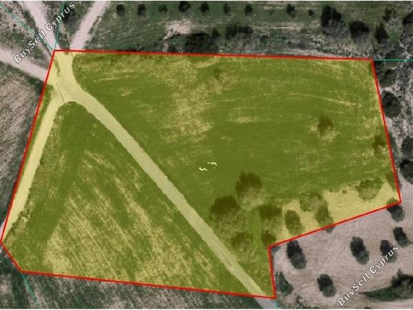 land for sale mazotos larnaca 1685377 image 6007820