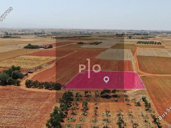 land for sale palaiometocho nicosia 8275377 image 15159412