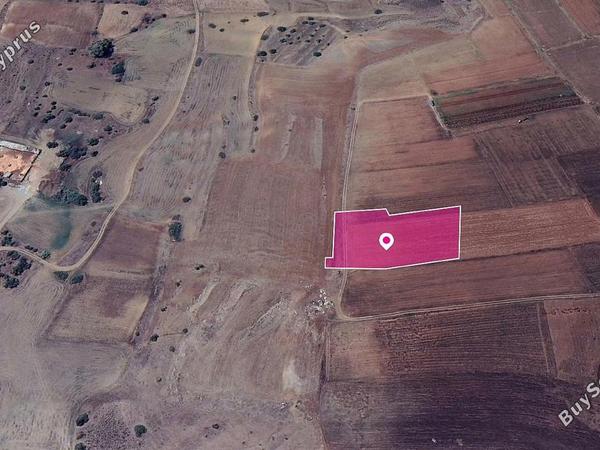 land under offer orounta nicosia 1172377 image 13347334
