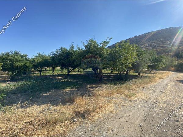 land for sale germasogeia limassol 1504477 image 16803629