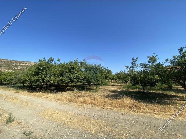 land for sale germasogeia limassol 1504477 image 16803630