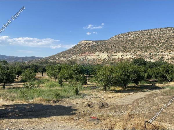 land for sale germasogeia limassol 1504477 image 16803635
