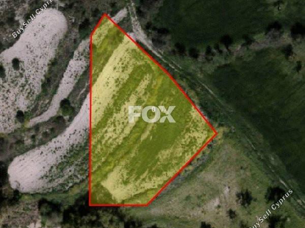 land for sale kritou marottou paphos 1159477 image 10029636