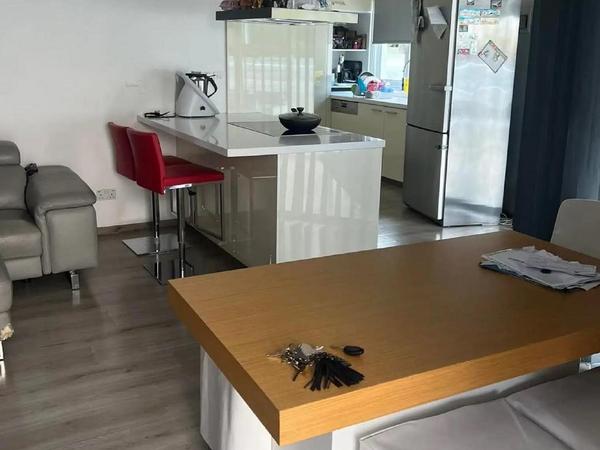 2 bedroom apartment for sale dasoupoli nicosia 8291577 image 14048190