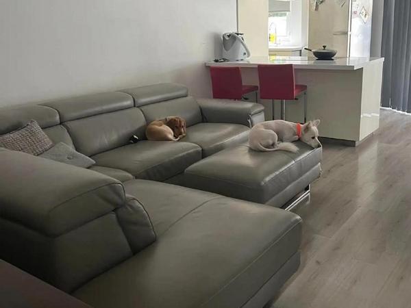 2 bedroom apartment for sale dasoupoli nicosia 8291577 image 14048191