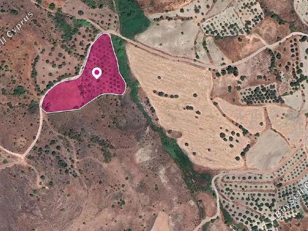 land for sale episkopi pafou paphos 1897577 image 14206475