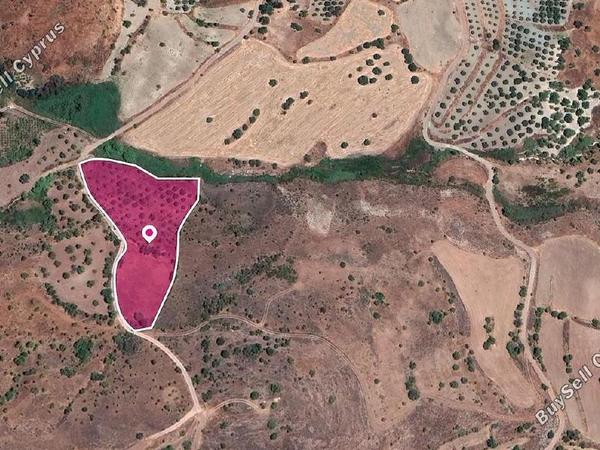 land for sale episkopi pafou paphos 1897577 image 14206479