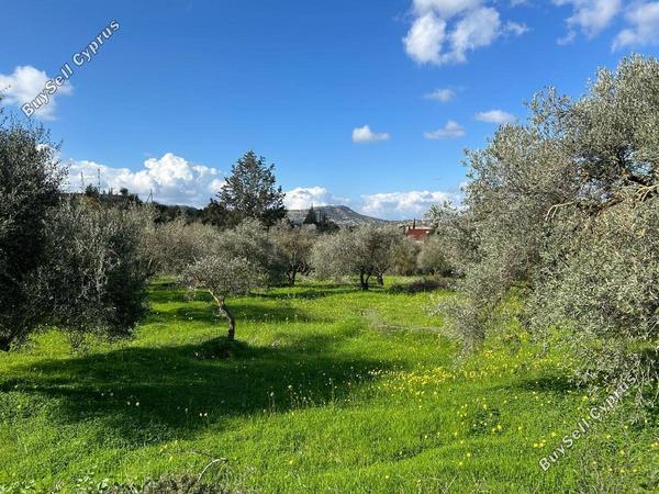 land for sale paramytha limassol 1546577 image 5876381
