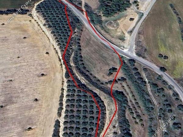 land for sale poli chrysochous paphos 1681577 image 6388728