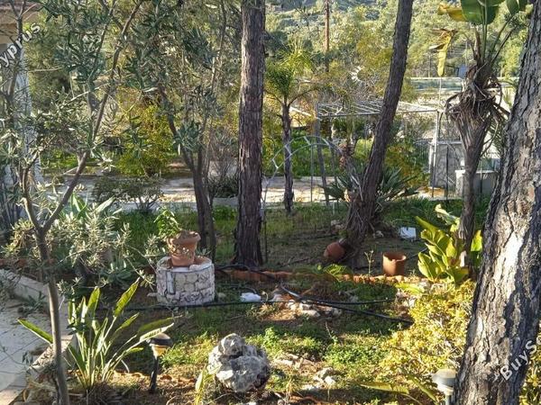 2 bedroom bungalow for sale lageia larnaca 8087677 image 13143658