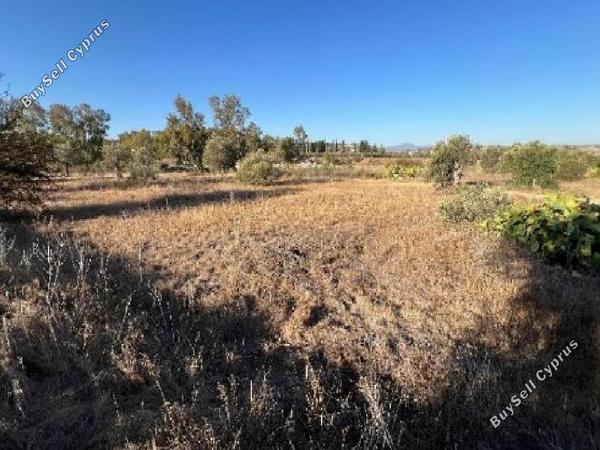 land for sale pera orinis nicosia 8804677 image 16797076