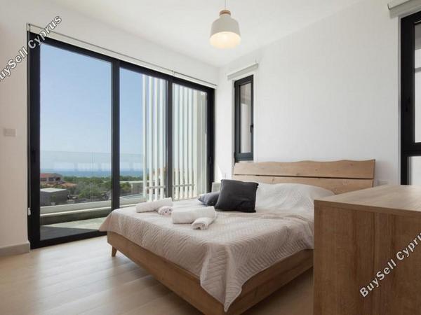 4 bedroom detached house for sale emba paphos 1657777 image 5569761