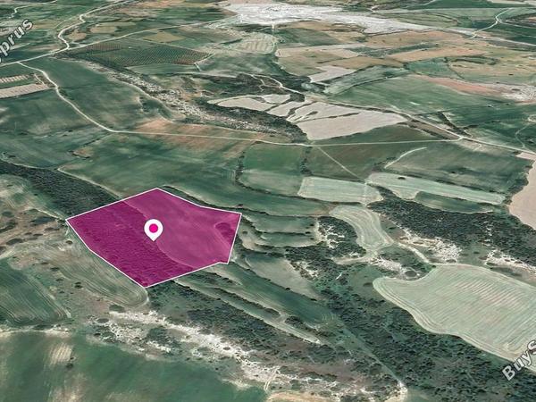 land for sale agios theodoros larnacas larnaca 1213777 image 2007313