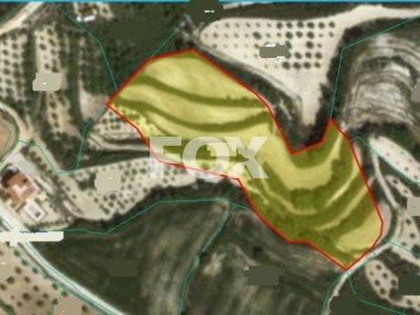 land for sale kallepeia paphos 1158777 image 5503950