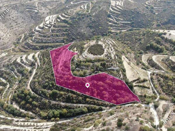 land for sale koili paphos 1571777 image 16210363