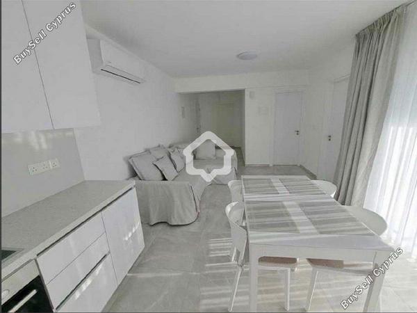 1 bedroom apartment for rent strovolos nicosia 8710877 image 16336102