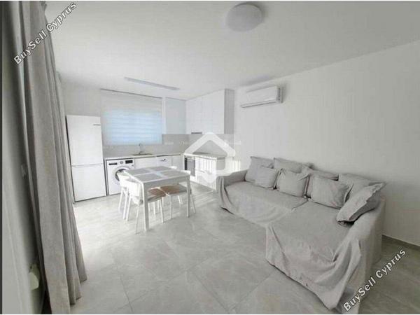1 bedroom apartment for rent strovolos nicosia 8710877 image 16336103