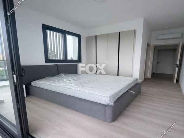 2 bedroom apartment for rent agios georgios limassol limassol 8381877 image 14934776