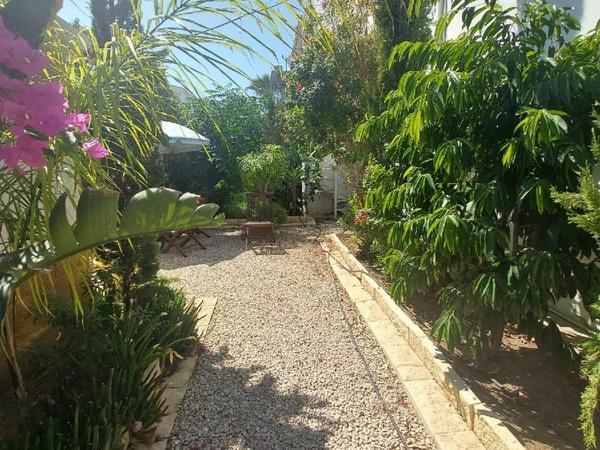 3 bedroom apartment for rent agios andreas nicosia nicosia 8791877 image 16686169