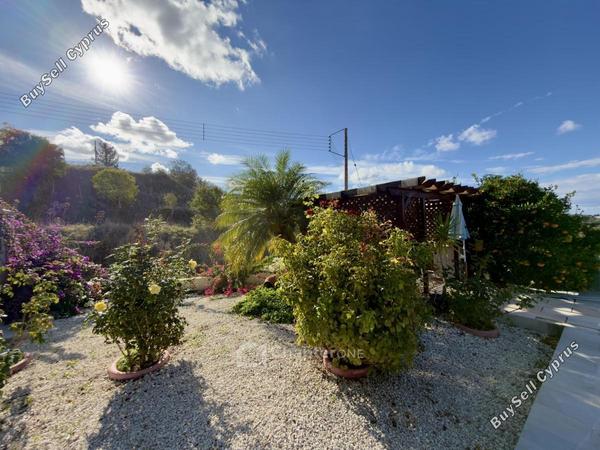 4 bedroom detached house for sale armou paphos 8345877 image 16565317