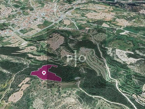 land for sale agios theodoros larnacas larnaca 8274877 image 15155971