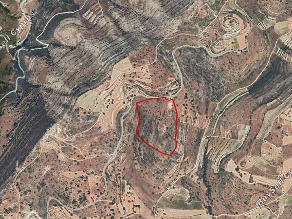 land for sale pachna limassol 828877 image 11082288