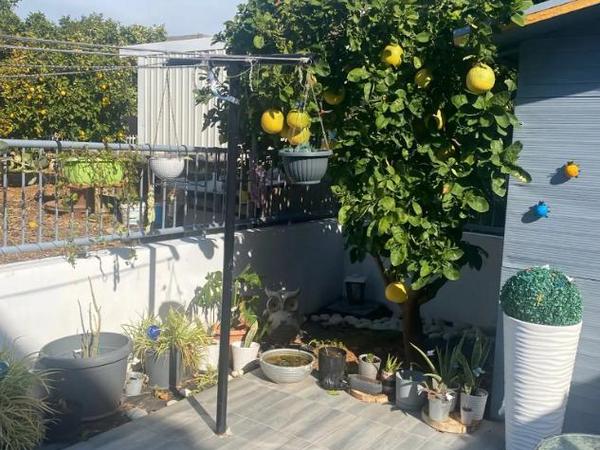 1 bedroom detached house for sale ypsonas limassol 1930977 image 9205727