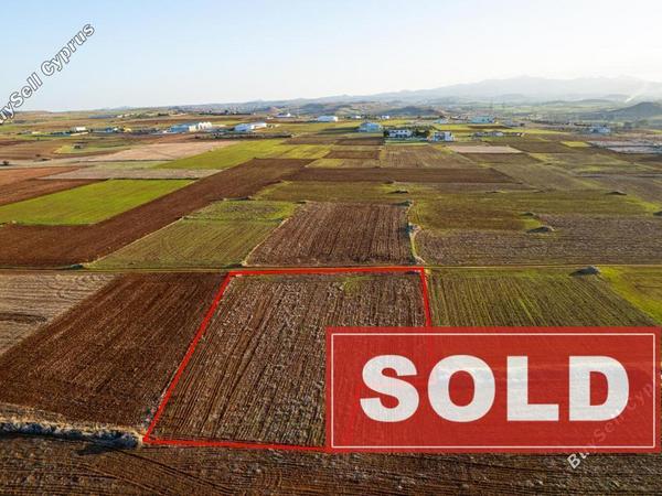 land sold agioi trimithias nicosia 1011977 image 2893292